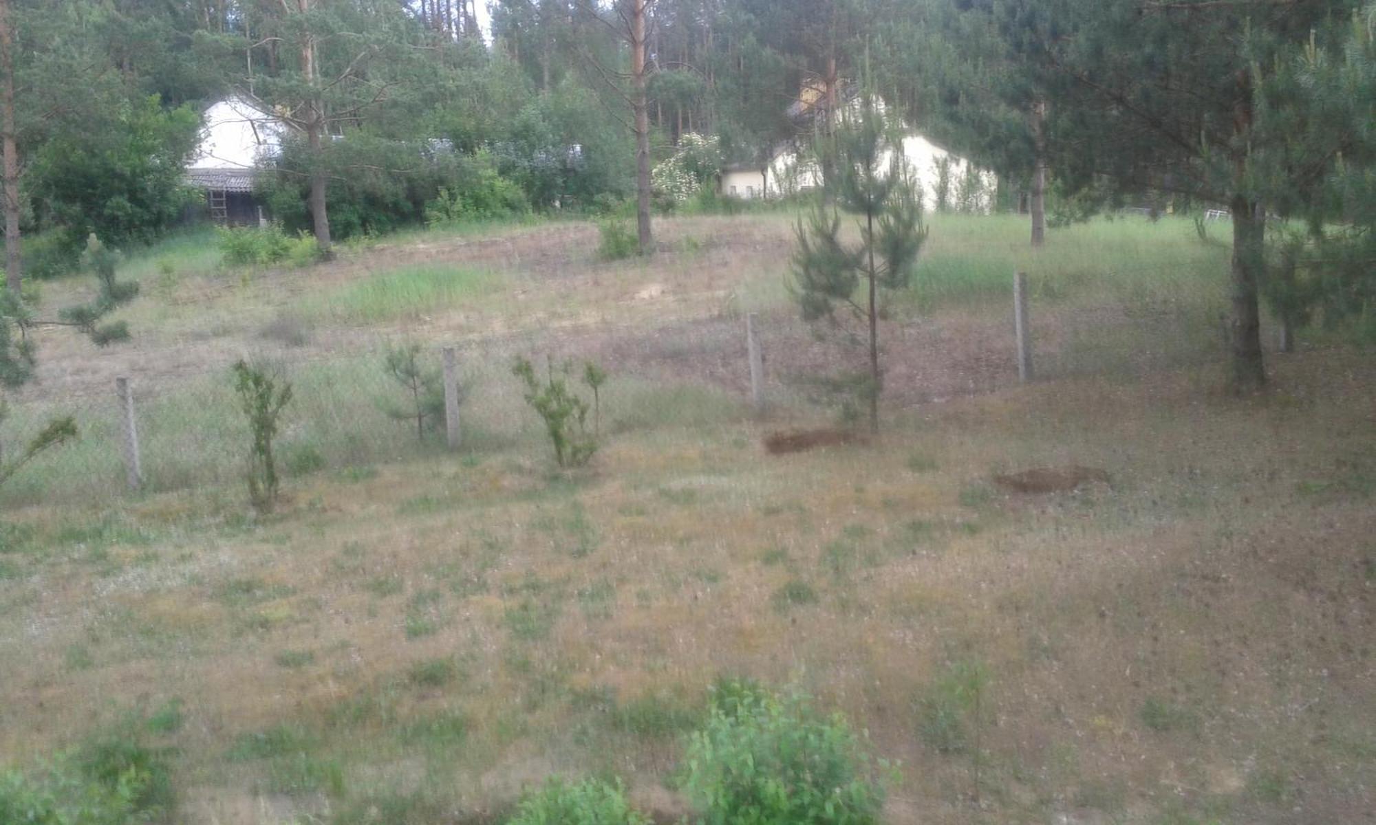 Domek Lesna Przystan Strekowizna Exterior photo